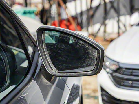 2025�� ������