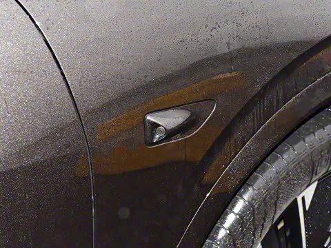 2024�� Max���������