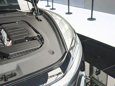 2025�� DM-p ���������״��콢��