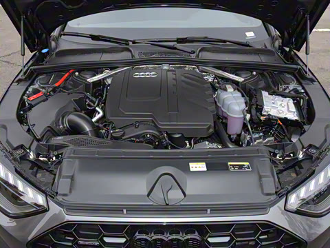 2025�� 200���������� 45 TFSI quattro ��ѡ������