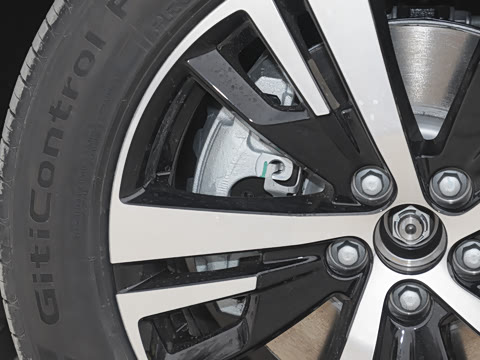 2025�� ������