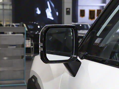 2025�� 2.0TD XWD����