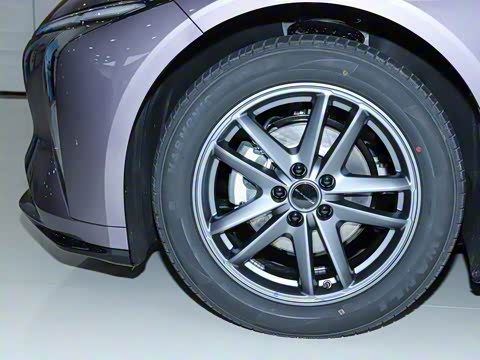 2024�� 555������