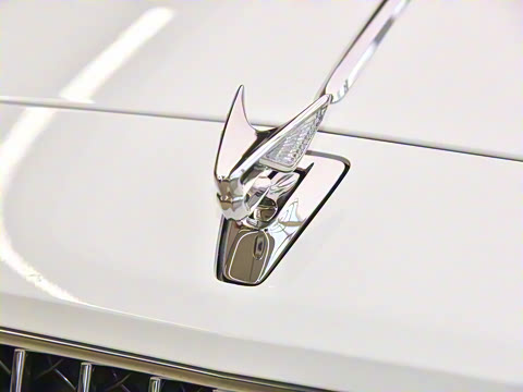 2024�� V8 Edition 8