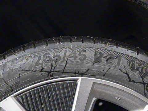 2025�� ����������Max