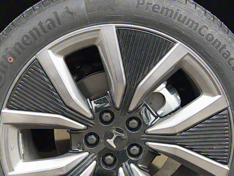 2025�� ����������Max