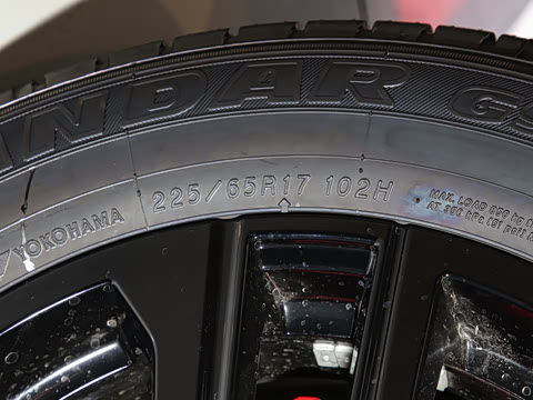 2024�� 260T ���ǰ� Pro