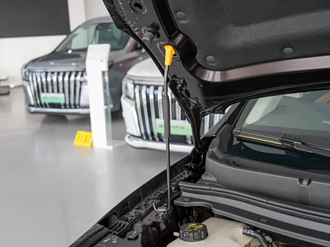 2024�� ������ 1.5T  252KM �콢�� ��Ԫ�