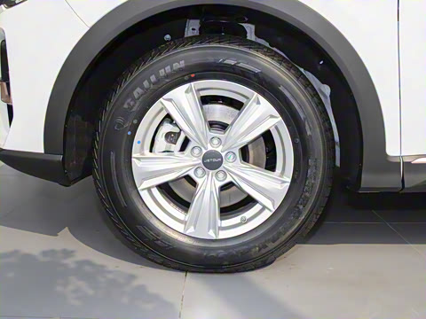 2025�� 1.5T �ֶ���Խ�� 7��