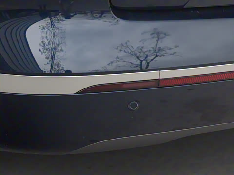 2025�� 750 Max���������״��