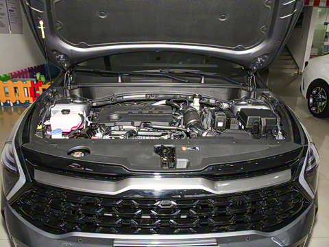 2023�� 2.0T ��������