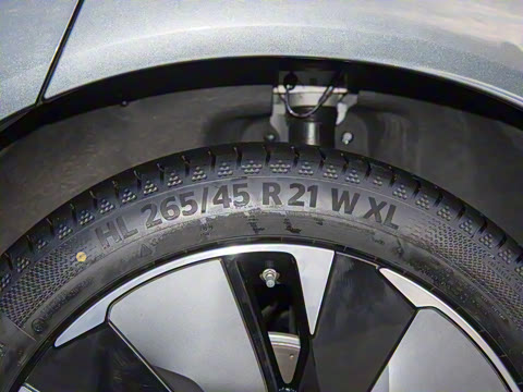 2025�� DM 175KM���˻���Ұ�