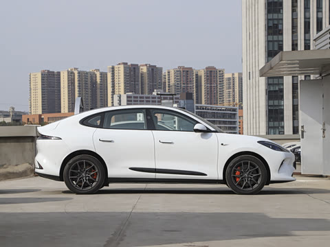 2025�� �������������Ǽݰ�