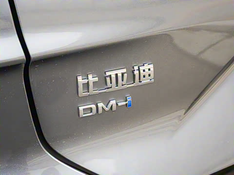 2025�� DM-i �Ǽݰ� 160KM �콢��