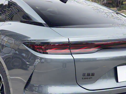 2025�� DM-p ���������״��콢��