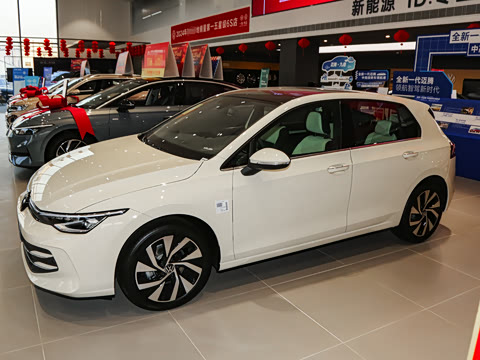 2025�� 300TSI Pro
