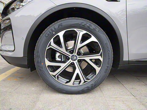 2025�� �Ǽݰ� DM-i 115KM �����