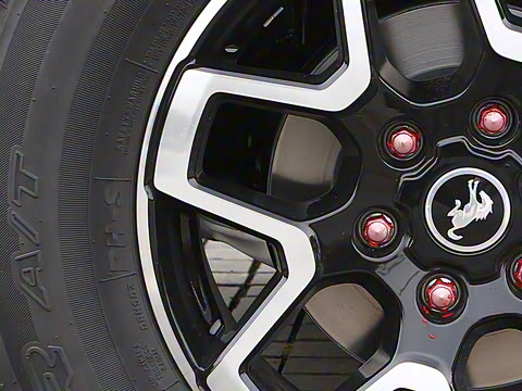 2024�� 2.3T ��̲