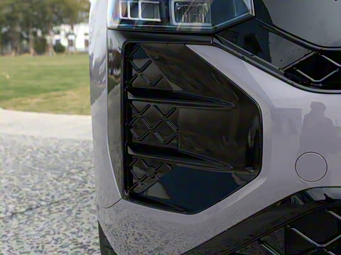 2025�� ;�� Pro 450TSI �����ݺ��