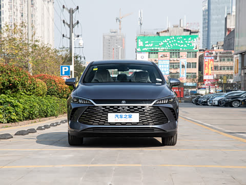 2025�� DM-i �Ǽݰ� 55KM������