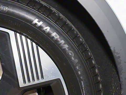 2025�� 565km ������