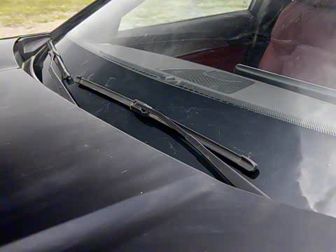 2024�� �ھ��� 1.5T �ֶ��ھ� 5��