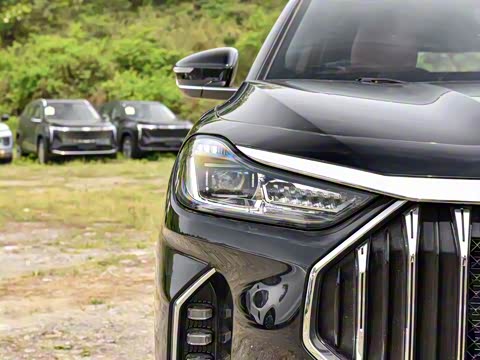 2024�� �ھ��� 1.5T �ֶ��ھ� 5��