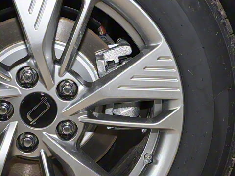 2025�� 565km ������