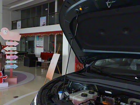 2025�� 565km ������