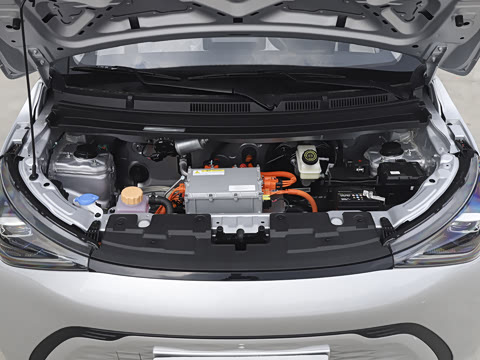 2025�� 305km ������