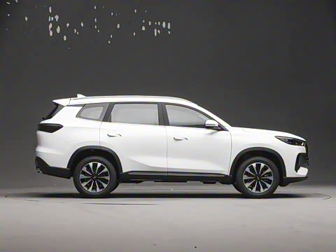 2025�� 290TGDI DCT�˷�� 