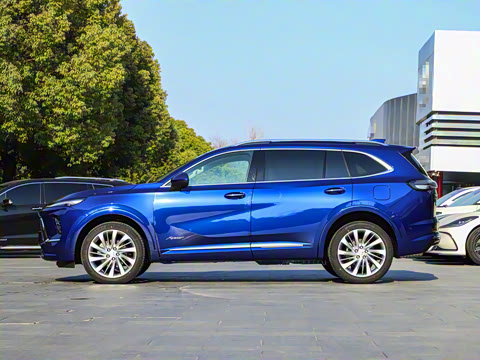 2025�� ������Plus ����Avenir��ά��