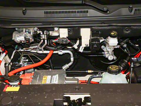 2025�� 333km ��Ϭ������