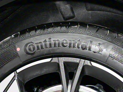 2025�� 520 ��ѡ��