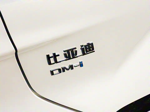 2025�� DM-i �Ǽݰ� 112KM �����