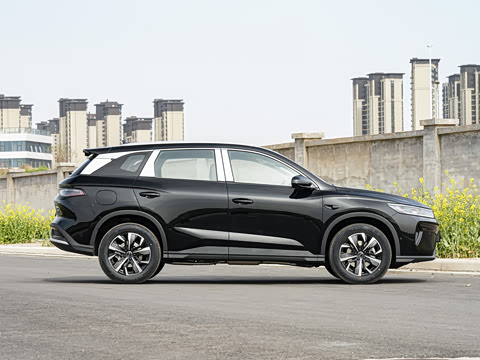 2025�� DM-i �Ǽݰ� 115KM������