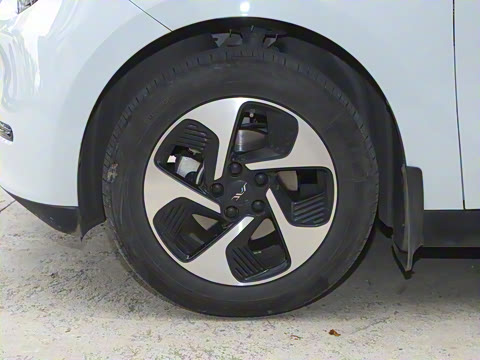 2023�� 505km Pro