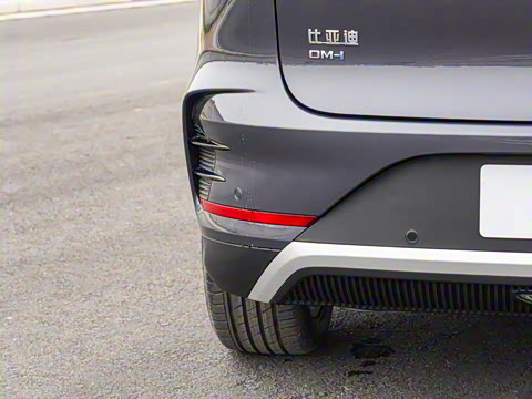 2025�� �Ǽݰ� DM-i 115KM ������