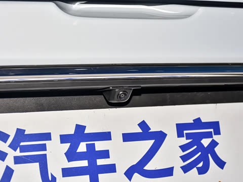 2025�� 445km ��ѡ��