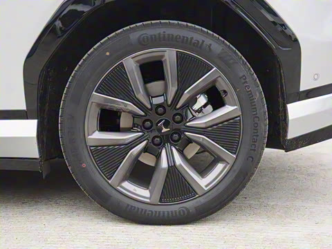 2025�� ����������Max