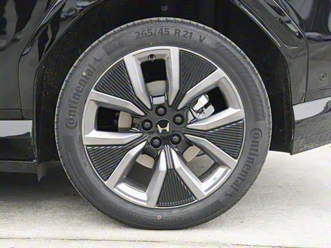 2025�� ����������Max