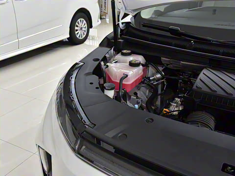 2024�� �Ŀ� ���� ��������ɭ�ְ� ����