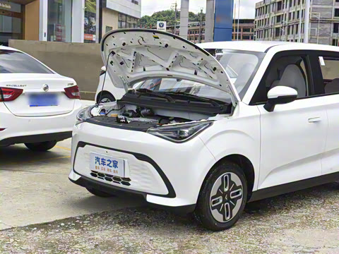 2026�� Mate 300km ����̤�˰�