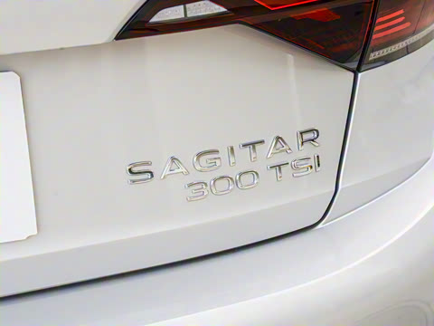 2025�� �Ŀ��� 300TSI DSG��Խ��