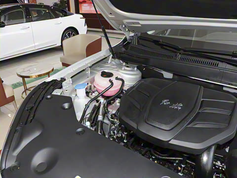 2025�� 2.0T ��������Pro��