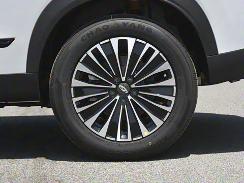 2024�� ������