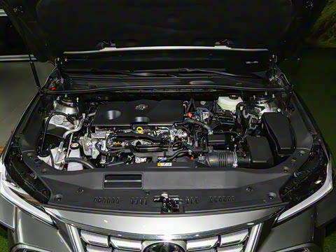 2024�� ˫�� 2.0L ������