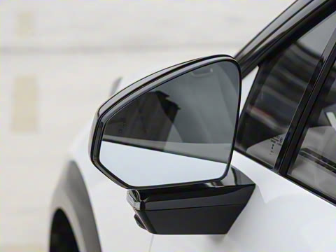 2025�� ������������