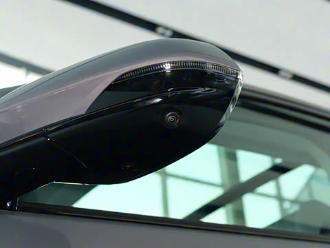 2024�� ��������Ӱ����