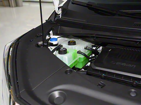 2025�� E9 ������� �ھ�